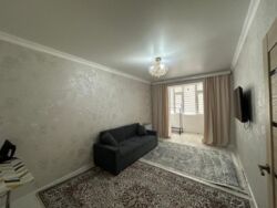 ��������� �������� ������������� ���., �����, 31� ���, 31�, 24 ���� 4