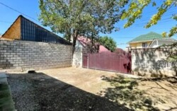 ��������� ��� ������, ������������� �-�, ����������, ���������, ��, 250� ���� 8