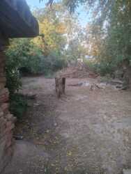 ��������� ��� ������, ���������� �-�, ������ ���������, 62 ���� 3