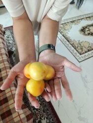 ��������� ��� � 5 ������ � 231 �² � 5 ���. ���� 13