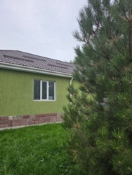 ��������� ��� ����������� ���., �������, ���������� �-�, �������, 33 ���� 8