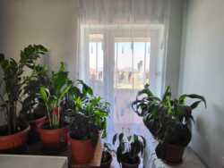 ��������� ��� � 5 ������ � 220 �² � 10 ���., ������� 3 � 5 ����� �� ������ ����� � ����� ���� 16