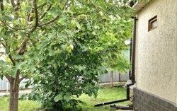 ��������� ��� ������, ����������� �-�, 17 �����, 89 ���� 10