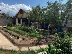 ��������� ��� ����������� ���., ����������, ����������, 20� ���� 10