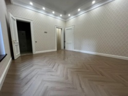 ��������� ��� ������, ������������� �-�, ����� ��������, 55 ���� 12