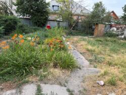 ��������� ��� ����������� ���., �������, ���������� �-�, ������������� ���� 2