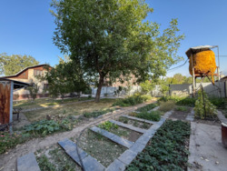 ��������� ��� ������, ������������� �-�, �����������, 36 ���� 11