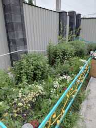 ��������� ��� ����������� ���., ��������, �������, 28/1 ���� 15