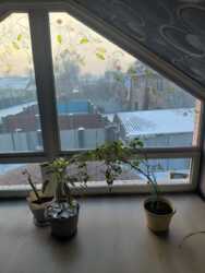 ��������� ��� ����������� ���., ��������, �������, 28/1 ���� 11