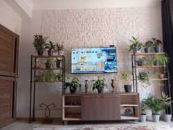 ��������� ��� � 2 ������� � 62 �² � 3 ���., 32 37/2, ���� ���� ���� 14