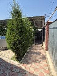 ��������� ��� ������, ������������� �-�, ���. �������� - 2, ����� ���� 20