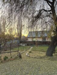 ��������� ��� ������, ���������� �-�, ���������, 29 ���� 22