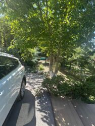 Летний дом в Бостандыкском районе фото 13 Летний дом в Бостандыкском районе фото 13