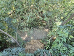 ��������� ��� ������, ������������� �-�, ���. �������� - 2, ����� ���� 31