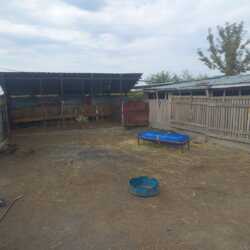 Продается дом Алматинская обл., Саймасай, Пащенко, 80 фото 28 Продается дом Алматинская обл., Саймасай, Пащенко, 80 фото 28