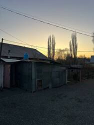 ��������� ��� ������, ���������� �-�, ���������, 29 ���� 25