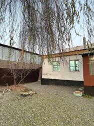 ��������� ��� ������, ���������� �-�, ���������, 29 ���� 19