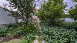 ��������� ��� ������, ������������� �-�, ���. ���-������, ����� ������� ���� 11