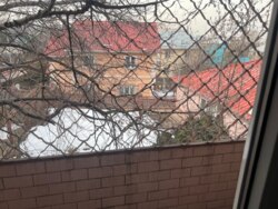 ��������� ��� ������, ������������� �-�, ���������, 7/2 ���� 46