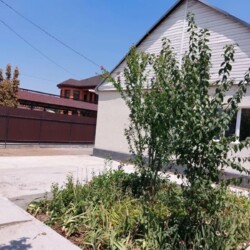 🏡 ��������� ��������������� ��� � �������-2 | 3 ������� | 3.5 ����� | ������ ������ ���� 11