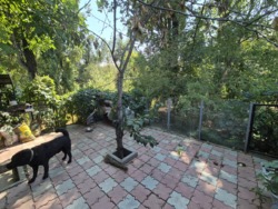 ��������� ��� ������, ������������� �-�, ���. �������� - 2, ����� ���� 33