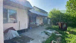 ��������� ��� ������, ���������� �-�, ��� �������, 53 ���� 2