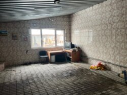 ��������� ��� ������, ������������� �-�, ���������, 7/2 ���� 29