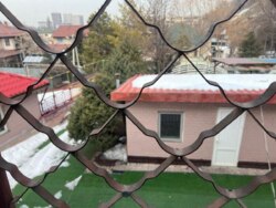 ��������� ��� ������, ������������� �-�, ���������, 7/2 ���� 43