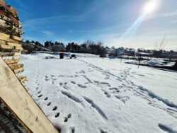 ��������� ��� ����������� ���., �����, ������, 23 ���� 30