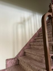 ��������� ��� ������, ������������� �-�, ���������, 7/2 ���� 50