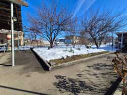 ��������� ��� ����������� ���., �����, ������, 23 ���� 2