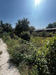 Продается дом Алматы, Алатауский р-н, Мкр Акбулак ул. Шангитбаева, 10 фото 7 Продается дом Алматы, Алатауский р-н, Мкр Акбулак ул. Шангитбаева, 10 фото 7