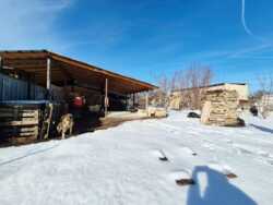 ��������� ��� ����������� ���., �����, ������, 23 ���� 20