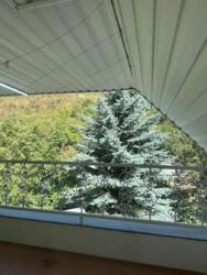 Летний дом в Бостандыкском районе фото 31 Летний дом в Бостандыкском районе фото 31