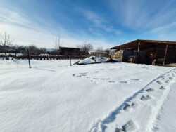 ��������� ��� ����������� ���., �����, ������, 23 ���� 71