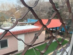 ��������� ��� ������, ������������� �-�, ���������, 7/2 ���� 39