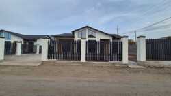 ����� ��� � �������� �������� ���� 6