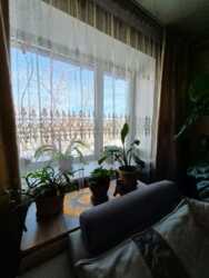 ��������� ��� ����������� ���., �����, ������, 23 ���� 40