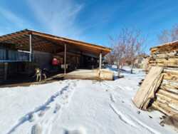 ��������� ��� ����������� ���., �����, ������, 23 ���� 24