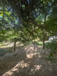 Летний дом в Бостандыкском районе фото 17 Летний дом в Бостандыкском районе фото 17