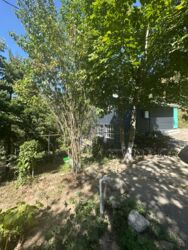 Летний дом в Бостандыкском районе фото 12 Летний дом в Бостандыкском районе фото 12