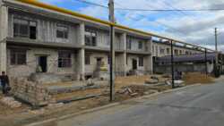 ��������� ��� ������������� ���., �����, ��� ����� 2, 12 ���� 20